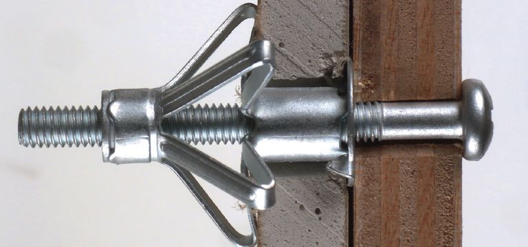 Tout savoir sur les chevilles Molly