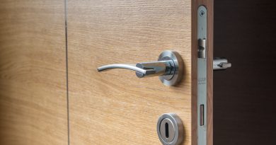 Travaux de rénovation : pourquoi opter pour une porte blindée ?