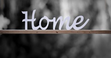 Faire confiance à un pro des extensions pour la rénovation d'une maison en Ille-et-Vilaine